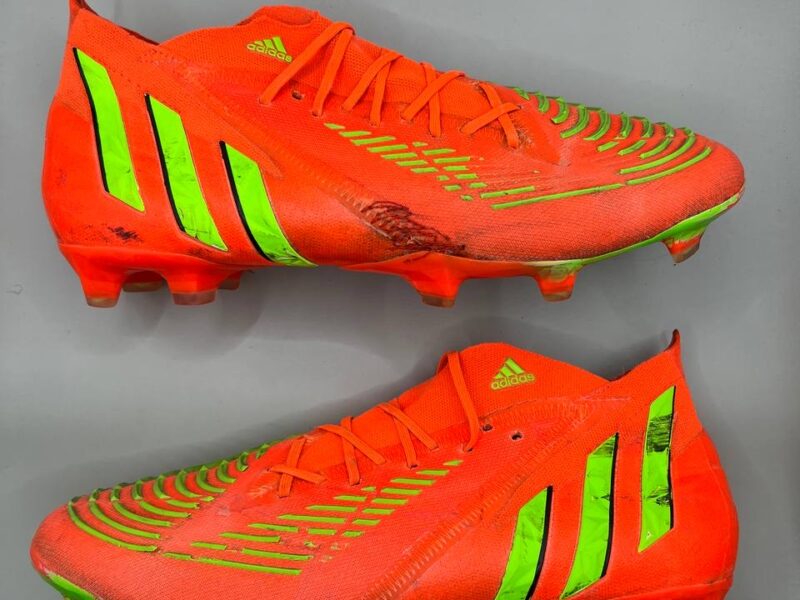 Buty piłkarskie adidas Predator Edge.1 FG GW1029